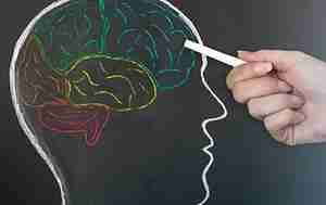 Drawing of a brain on a chalkboard